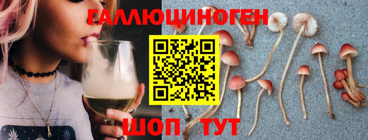 закладки  Вход с VPN  Луховицы  Псилоцибиновые грибы Magic Shrooms 