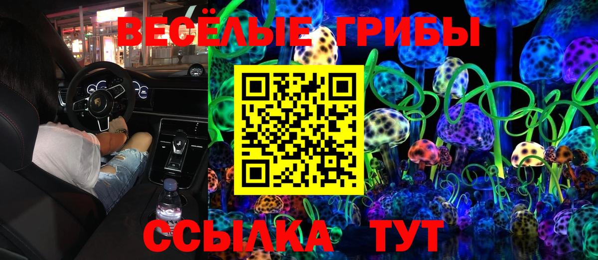 Галлюциногенные грибы Magic Shrooms Луховицы